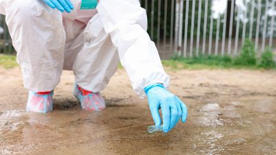 14 horas - Precintada una finca de Toledo tras detectarse un caso de c�lera - Escuchar ahora