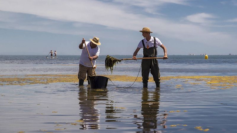 24 horas -  Juan Manuel Ruíz, investigador del IEO: "A partir 2016, el Mar Menor sufrió un colapso ecosistémico" - Escuchar ahora