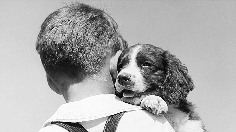 Todos somos sospechosos - Máximo Huerta: 'Adiós, pequeño'