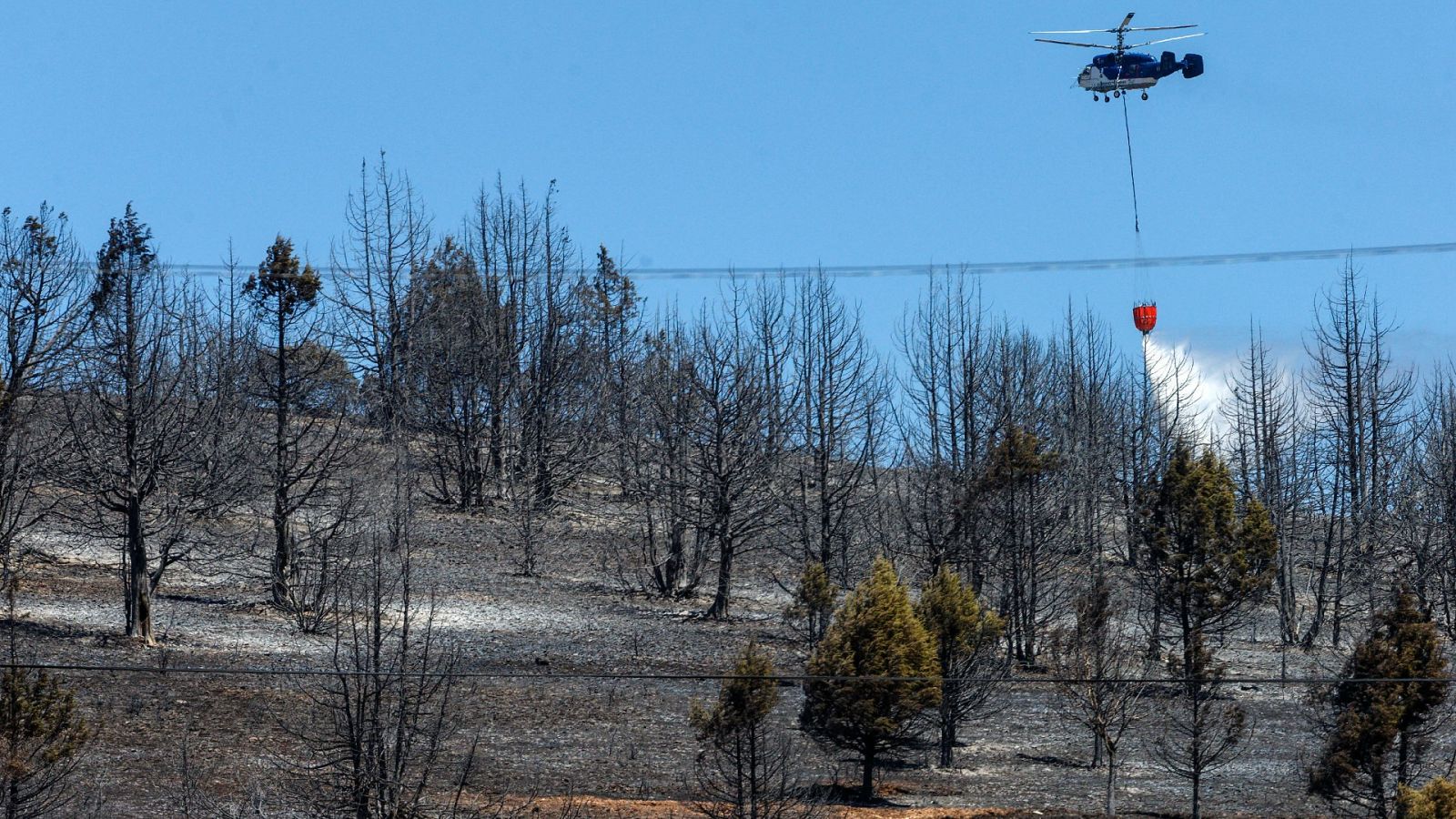 Las Mañanas de RNE - Asier Saiz, Colegio de Ingenieros de Montes CyL: "No va a dar tiempo a resolver los problemas de este año para el siguiente" - Escuchar ahora