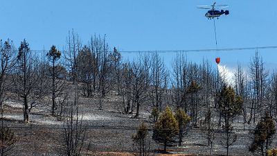 Las Ma�anas de RNE - Asier Saiz, Colegio de Ingenieros de Montes CyL: "No va a dar tiempo a resolver los problemas de este a�o para el siguiente" - Escuchar ahora