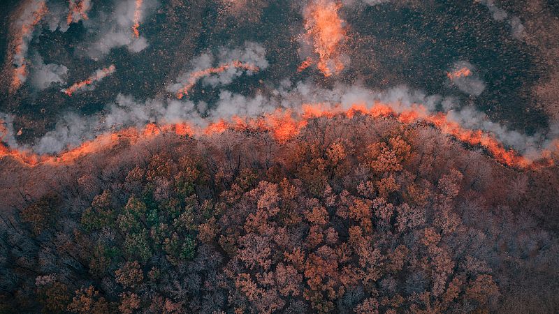 Por tres razones - "Canarias, Hawai y Galápagos: la mayor biodiversidad" - Escuchar ahora
