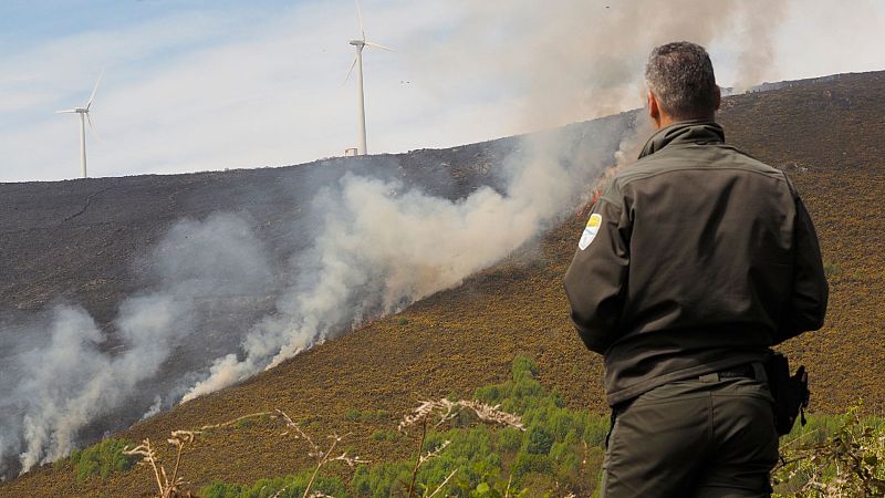 24 horas fin de semana - Los agentes forestales, los ojos de nuestros bosques