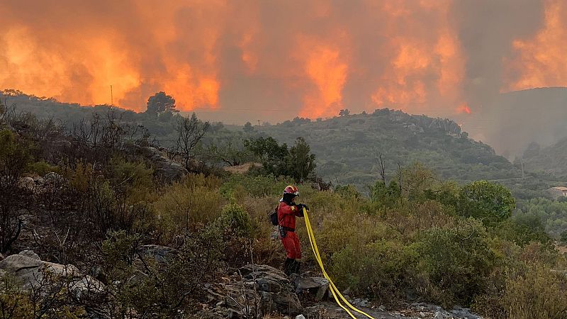 14 Horas - ¿Por qué se producen tantos incendios virulentos?