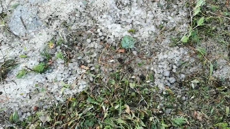 Les pedregades tornen a danyar la producció de fruita a Lleida