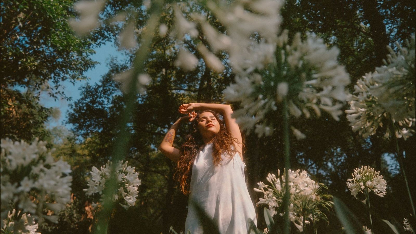 Tarde lo que tade - Silvana Estrada nos presenta su nueva canción 'Brindo' - Escuchar ahora