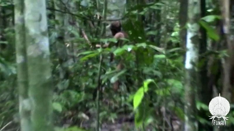 Cinco Continentes - La situación crítica de los indígenas en Brasil