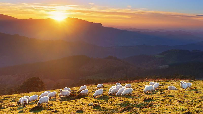 Nómadas - Trashumantes por nuestras vías pecuarias - 10/09/22