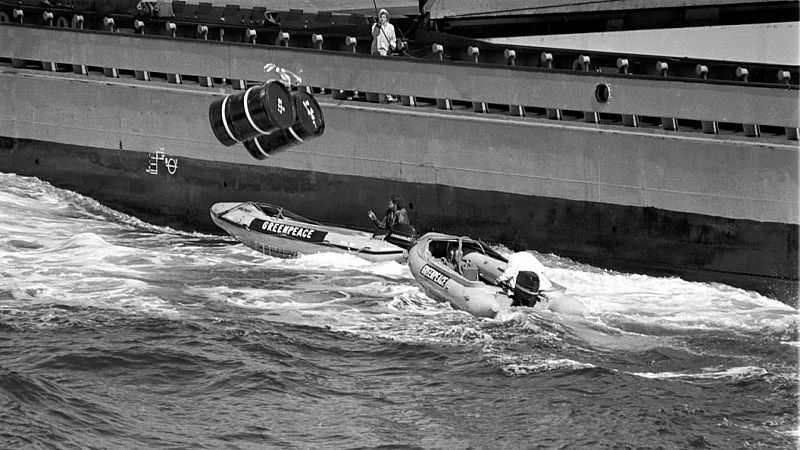 Memoria de delfín - Greenpeace España: 40 años en defensa del medio ambiente - 19/09/22