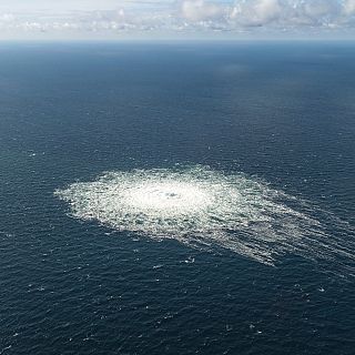 "Las fugas equivalen a las emisiones de un ao en Dinamarca"