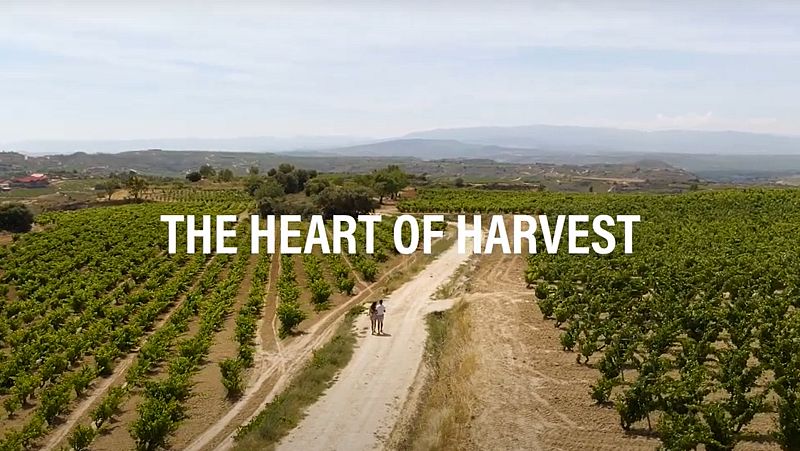 Por tres razones - El corazón de la vendimia riojana: la serie