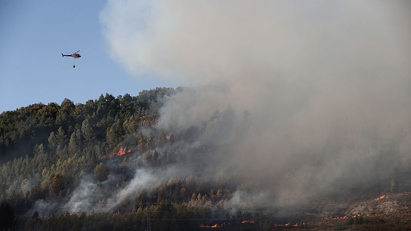Más cerca - Proyectos innovadores contra los incendios en la actualidad - Escuchar ahora