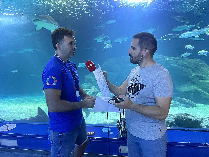 Congreso sobre tiburones en el Oceanogràfic - 19/10/22