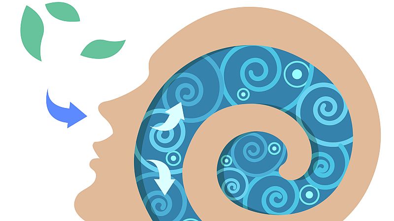 InquietaMENTE - El cerebro respira - 20/10/22