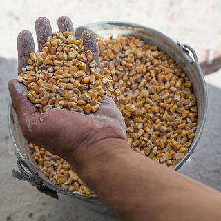 Adis al acuerdo del grano: "Nos pueden amenazar ms?"