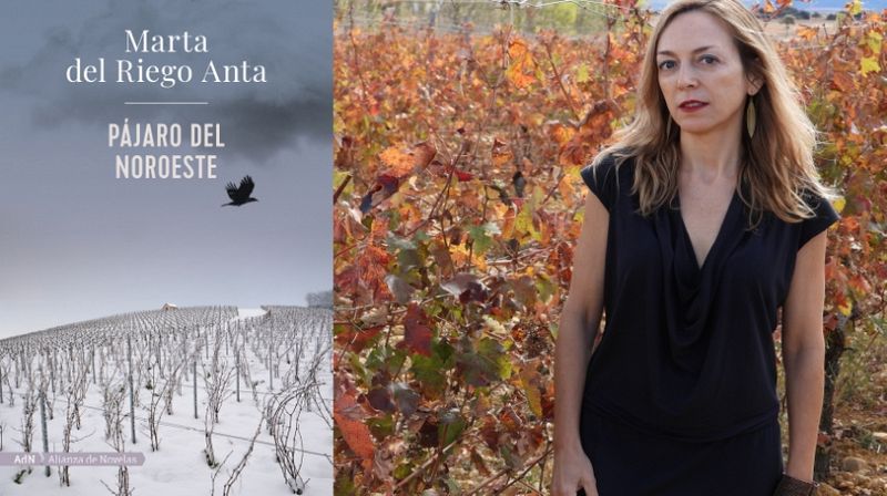 Sin Género de Duda - 'Pájaro del noroeste' - 27 noviembre 2022 - Sin género de duda | Escuchar