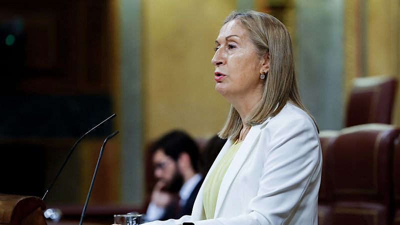 24 horas - Ana Pastor (PP): "Una tecnología  nunca va a sustituir a un profesional médico" - Escuchar ahora