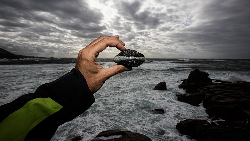 Las Mañanas de RNE - Antonio Figueras (CSIC): "Habría que tener unas líneas de referencia para que cuando sucedan accidentes poder comparar"