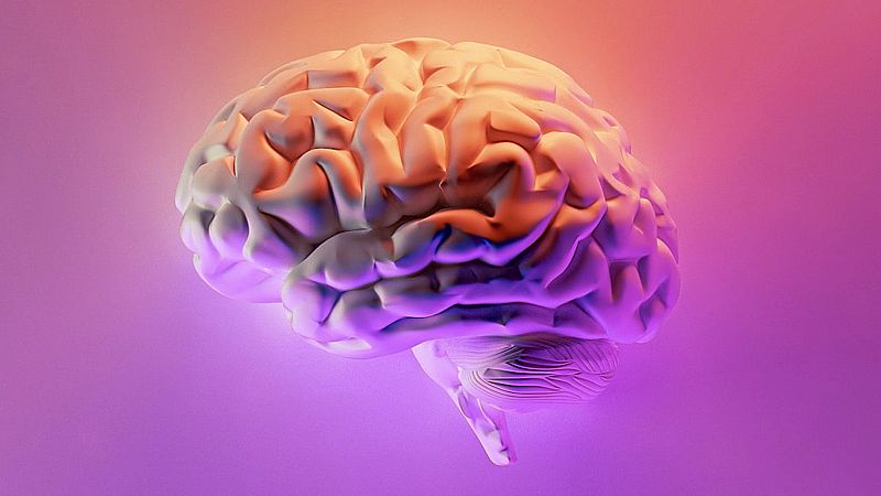 Radiogramas - El cerebro - 28/11/22 - escuchar ahora