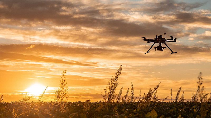 El gallo que no cesa - Los drones, un invento al servicio de las personas - Escuchar ahora