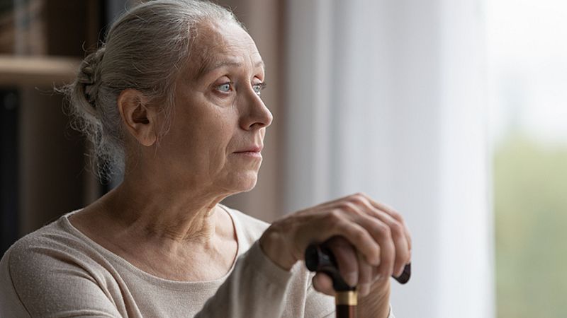 Cuaderno mayor - Recursos profesionales para terminar con la soledad no deseada - 20/12/22