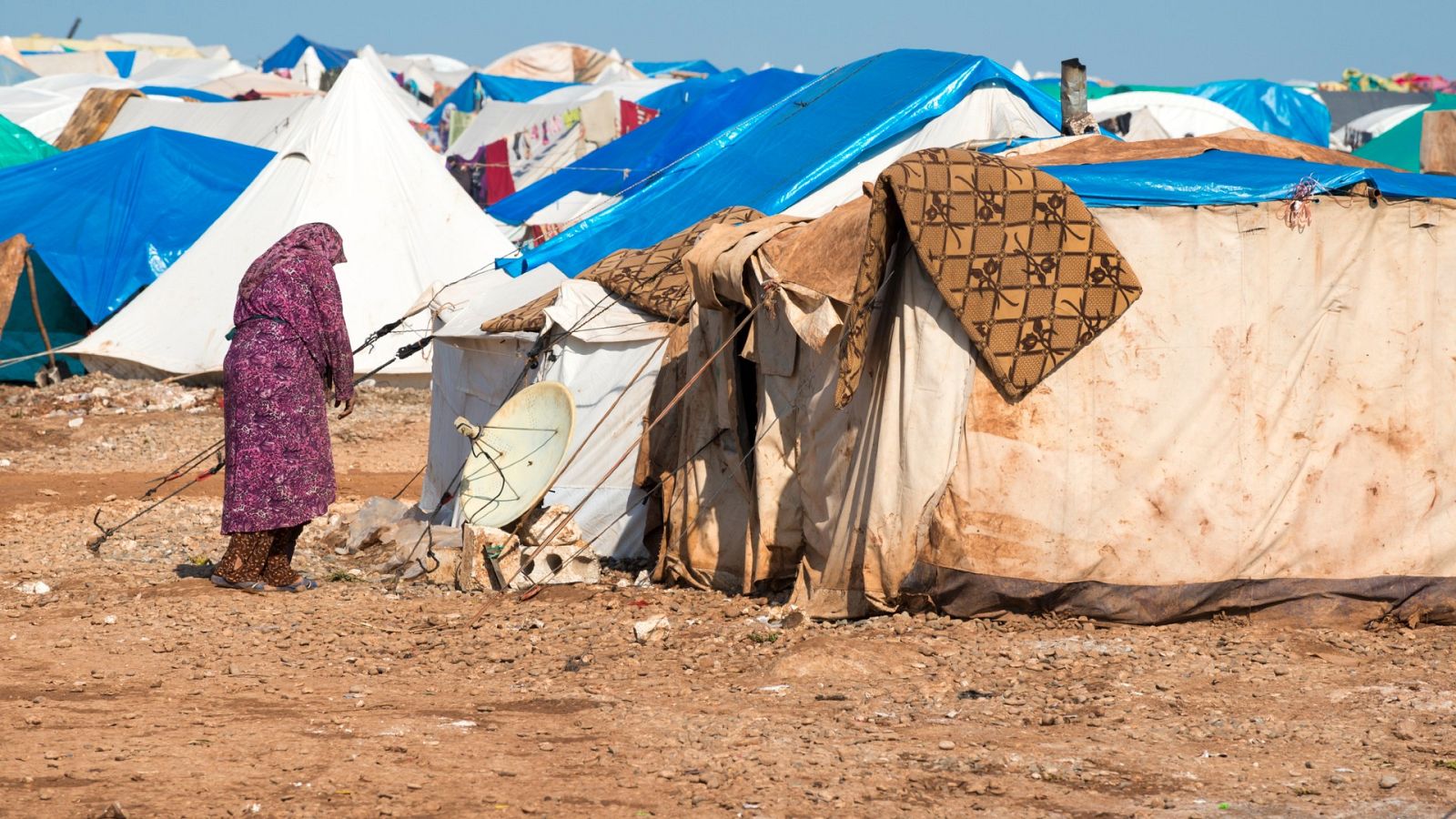 Las Mañanas de RNE - Carola García-Calvo, Real Instituto Elcano: "El 15% de los movilizados para unirse al Daesh en 2014 fueron mujeres" - Escuchar ahora