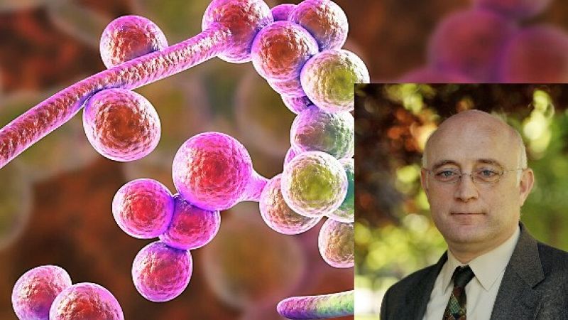 Hongos patógenos - Escuchar ahora