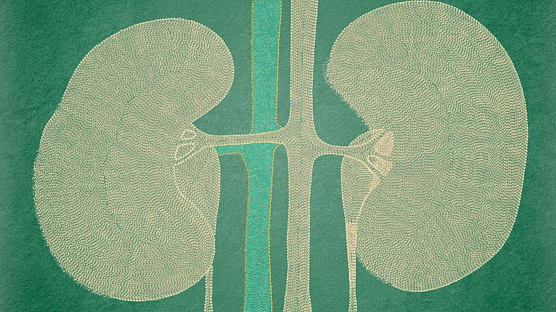 24 horas - La donación da vida: "Hay mucha gente que lo está esperando"