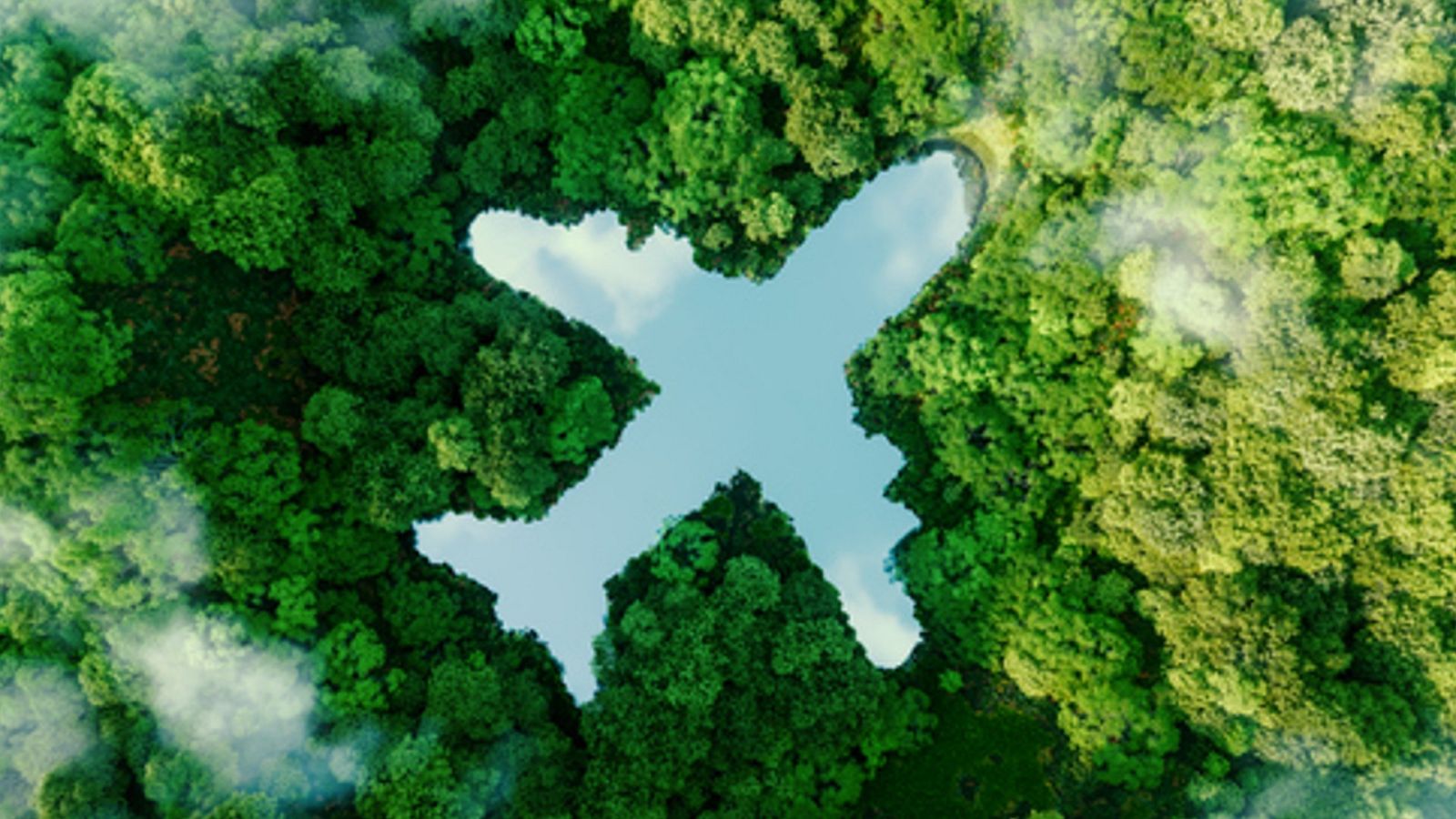 Jorge Perdigón - Iniciativa con el medioambiente - escuchar ahora