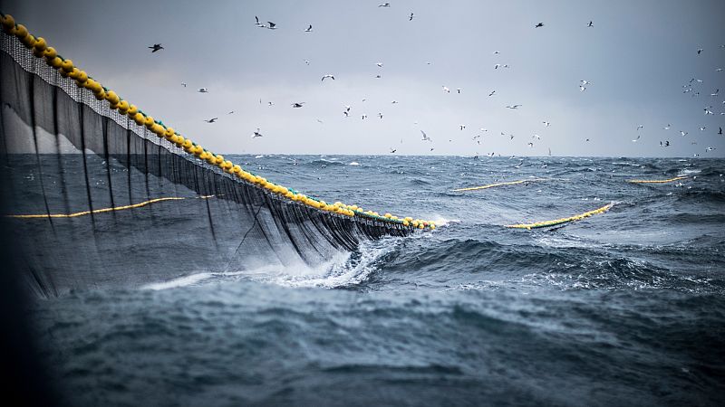 Reportajes Emisoras - Santander - Rederas - 17/02/23