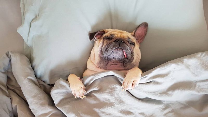 Longitud de onda - La siesta es un acto de resistencia - 17/02/23