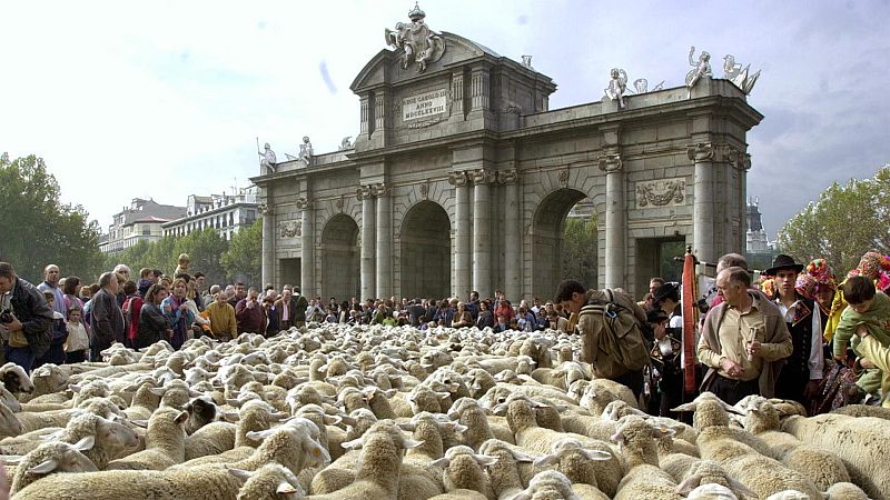 Las cuñas de RNE - La Mesta, reino de lana