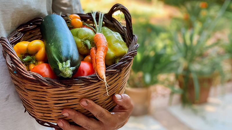Las Mañanas de RNE - Susana Monereo, Sociedad Española para el estudio de la Obesidad: "Si usamos la comida como recompensa establecemos unos circuitos difíciles de romper"