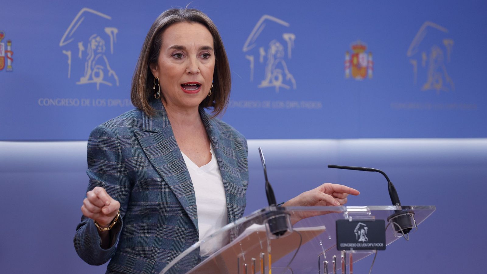 Parlamento RNE - GAMARRA: Vox se ha arrepentido ya de haber impulsado la moción