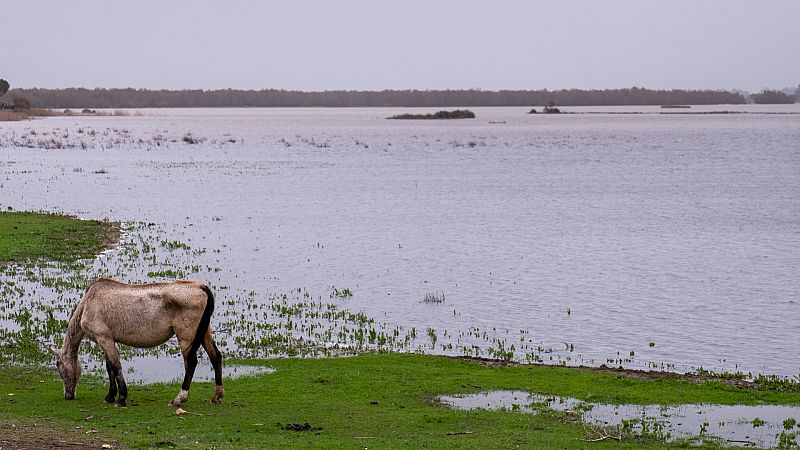 Crónica de Andalucía - "Andalucía tiene problemas de sequía y de escasez de agua" - Escuchar ahora