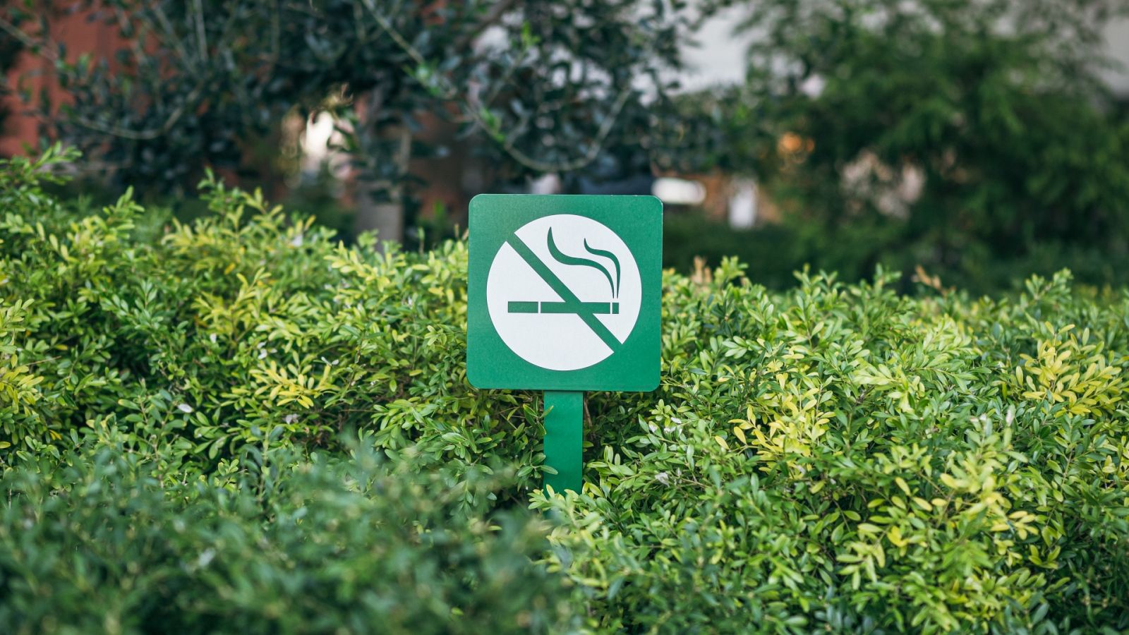 Por tres razones - Acompañamos a Nuria en su intento de dejar de fumar: día 1 - escuchar ahora