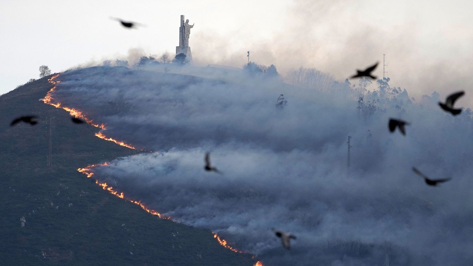 14 Horas - Adrián Barbón, presidente del Principado de Asturias, sobre los incendios: "Está claramente organizado" - Escuchar ahora