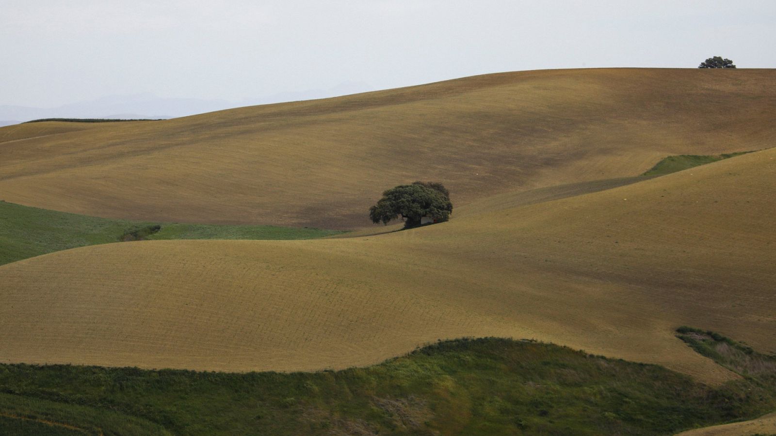 Las Mañanas de RNE con Íñigo Alfonso - Sequía en España: "La cosecha de secano está totalmente perdida" - Escuchar ahora