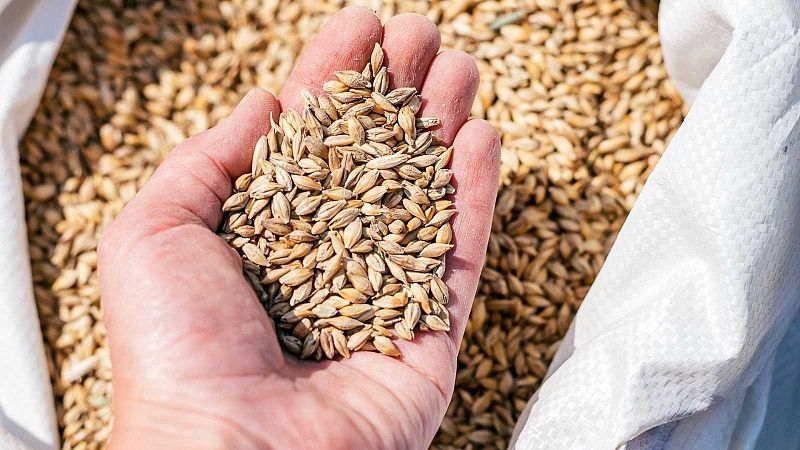 Europa abierta - Polonia y Hungría vetan el grano ucraniano - Escuchar ahora