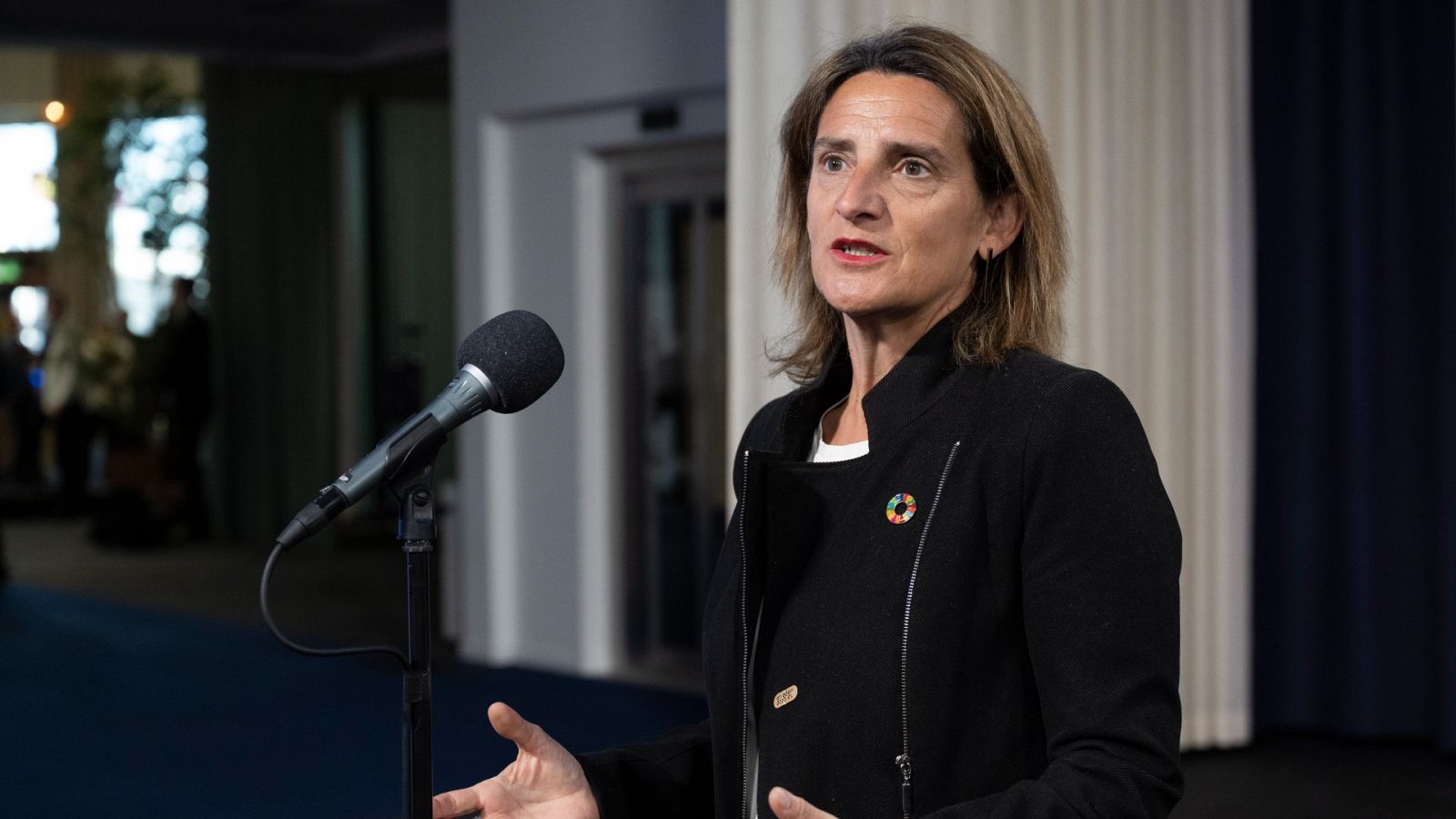 24 horas - Teresa Ribera, ministra para la Transición Ecológica: "Doñana se utiliza como moneda de cambio" - Escuchar ahora