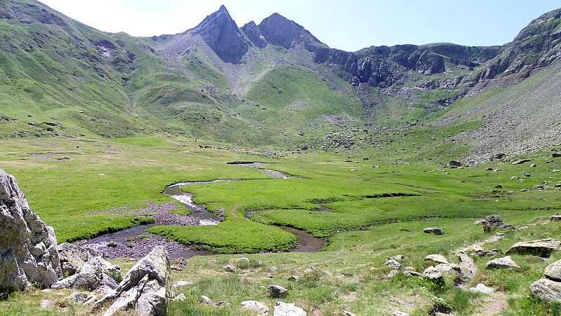 El bosque habitado - Canal Roya. Llamada a concejo y sentido común - 23/04/23