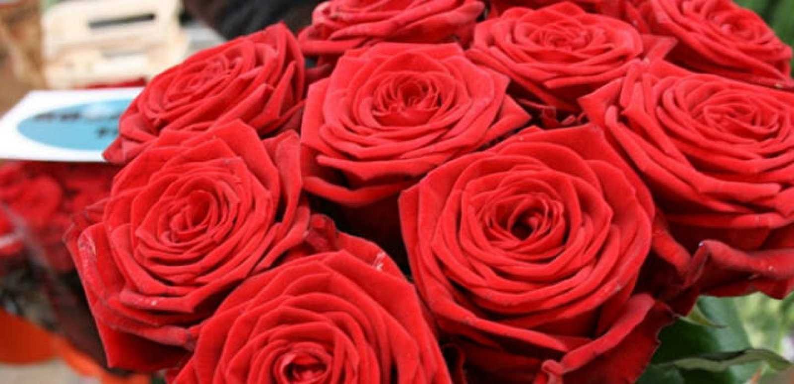 El Sant Jordi més esperat