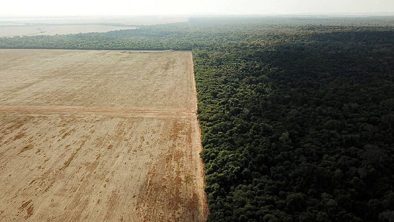 Cinco continentes-La nación amazónica siekopai frente a Chevron-Texaco