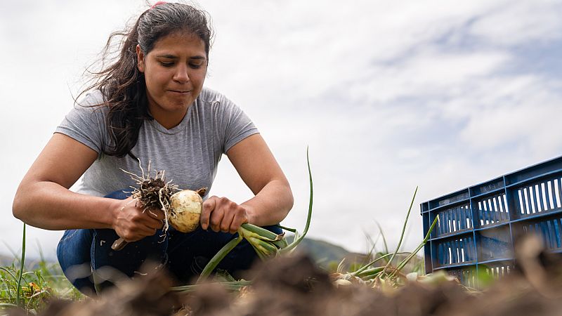 Tolerancia cero - La realidad de las mujeres jornaleras - 05/05/23 - escuchar ahora