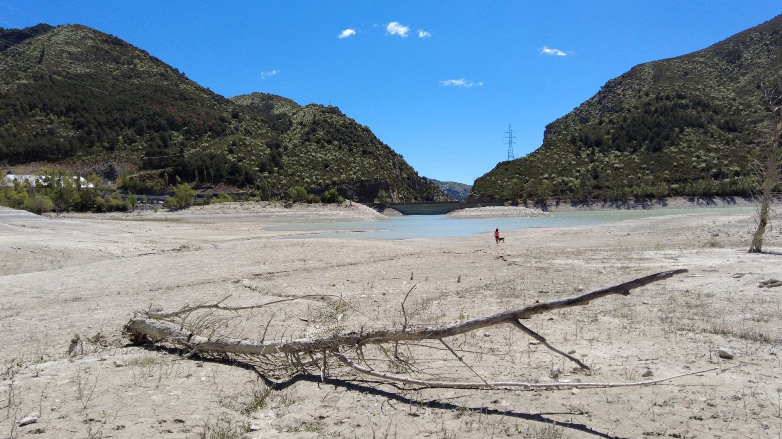 Las Mañanas de RNE con Íñigo Alfonso - Sequía en España: "Hay que reconstruir el modelo de consumo" - Escuchar ahora