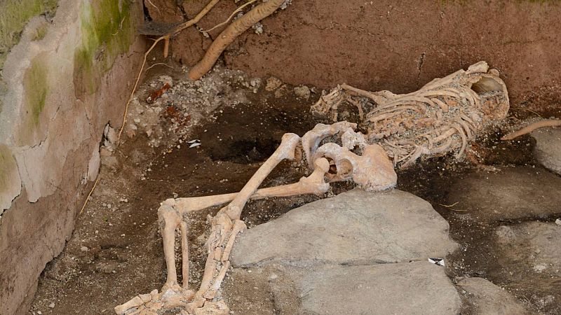 Ubi sunt. Arqueología en Radio 5 - Últimos hallazgos en Pompeya - 04/06/23