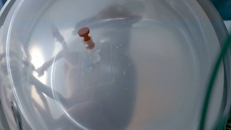 24 horas - Una placenta artificial para continuar el desarrollo fetal - Escuchar ahora