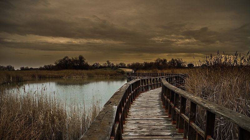 Reserva natural - Las Tablas de Daimiel y su crítica 'crisis de los cincuenta' - 06/07/23