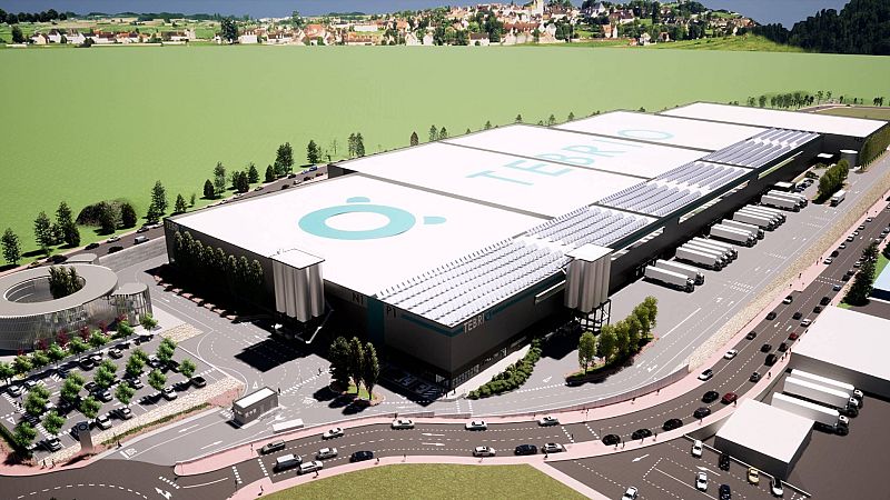 El gallo que no cesa - Tebrio, la empresa que cría miles de toneladas de un gusano