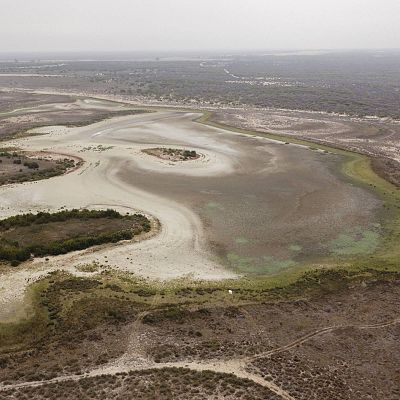 24 horas - Jos� Enrique Borrallo, director general de Espacios Naturales Protegidos de la Junta de Andaluc�a: "Do�ana es una cuesti�n de Estado" - Escuchar ahora